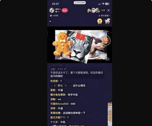 91夜间直播,揭秘网红幕后生活，带你领略直播界的魅力瞬间