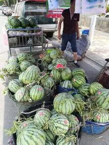 泗县吃瓜事件爆料